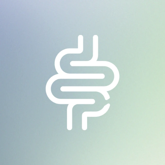 gut