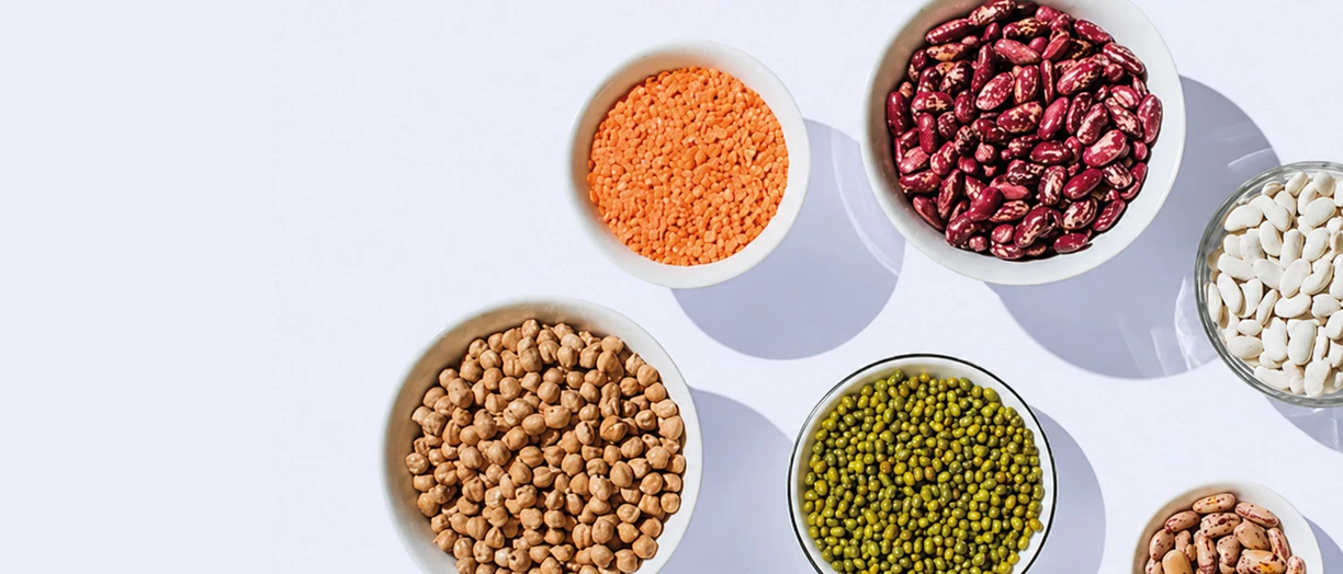 bioactive compounds